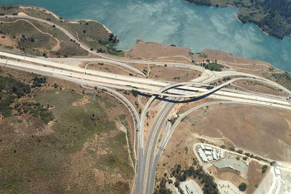 Luz filtrada entre troncos de bosque